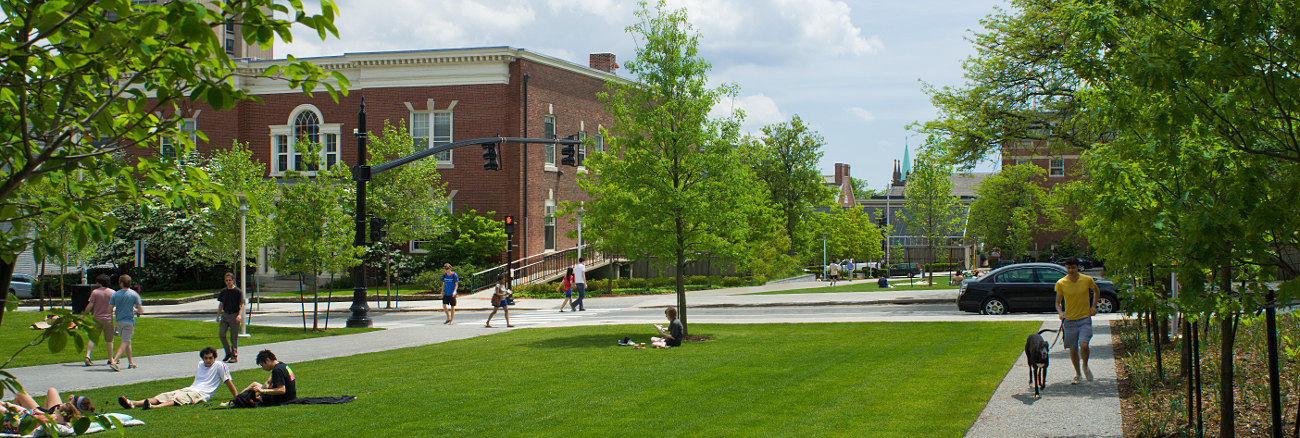 people walking in the common