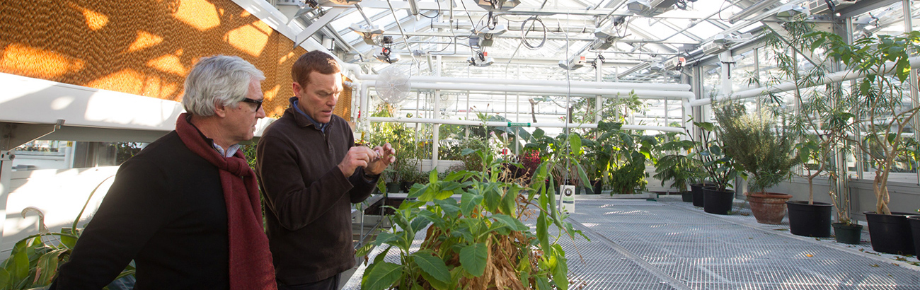 two people looking at plants