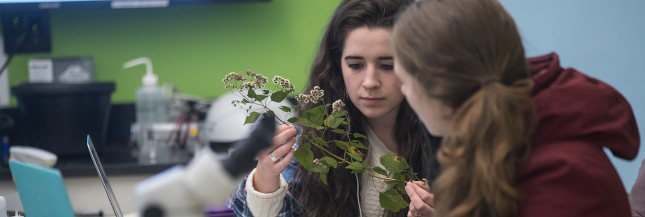 two people looking at a plant